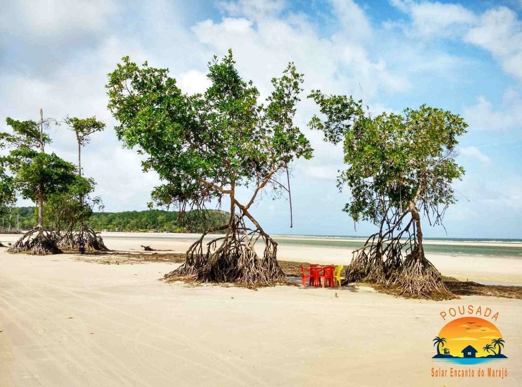 Praia da Barra Velha em Soure, Marajó.